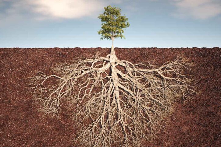 What Leadership Development Keeps Getting Wrong