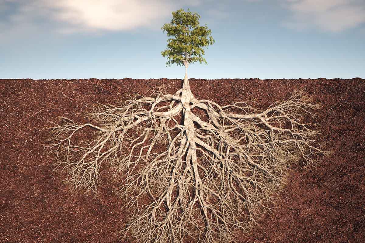 What Leadership Development Keeps Getting Wrong